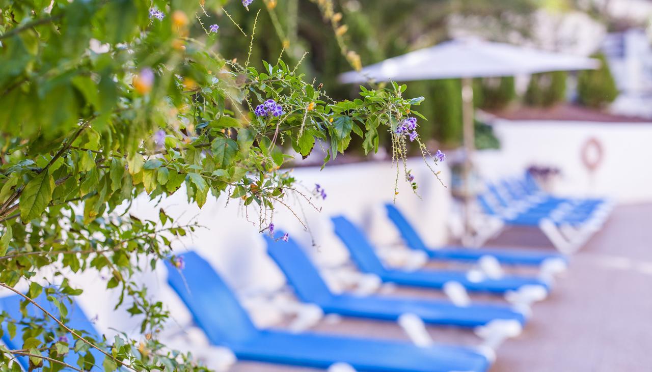 Hotel Calas Marina Benidorm Eksteriør billede